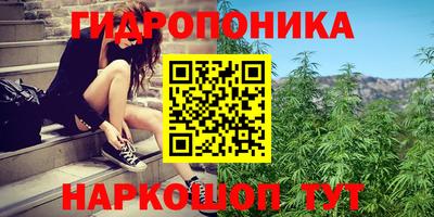 крисы Ливны