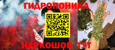 ГАЛЛЮЦИНОГЕННЫЕ ГРИБЫ Нальчик