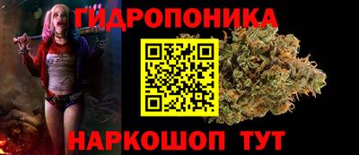 крисы Ливны