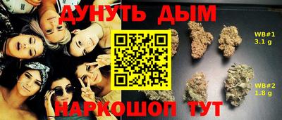 крисы Ливны