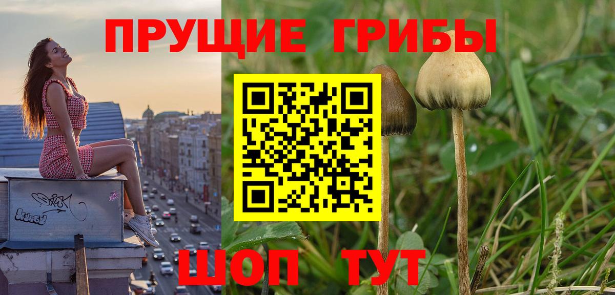 Псилоцибиновые грибы MAGIC MUSHROOMS Златоуст